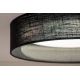 Duolla - LED Stropné svietidlo ROLLER LED/24W/230V čierna