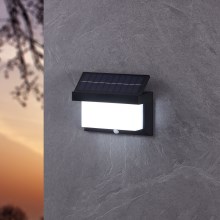 Eglo - LED Solárne nástenné svietidlo so senzorom LED/3,84W/3,7V IP44