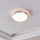 Eglo - LED stropné svietidlo LED/18W/230V