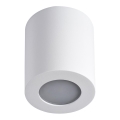 Kúpeľňové stropné svietidlo SANI 1xGU10/10W/230V IP44 biela
