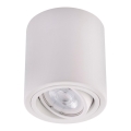 LED Bodové svietidlo TUBA 1xGU10/5W/230V 2700K biela