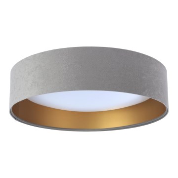 LED Stropné svietidlo GALAXY 1xLED/24W/230V pr. 44 cm šedá/zlatá