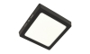 LED Stropné svietidlo GERRY LED/12W/230V 4000K čierna