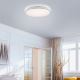 Leuchten Direkt 14209-16 - LED Stmievateľné stropné svietidlo COLIN LED/32,4W/230V