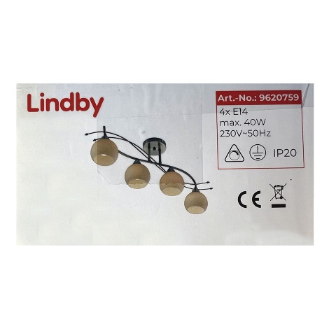 Lindby - Bodové svietidlo LEANDA 4xE14/40W/230V