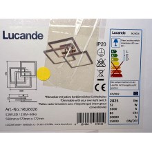 Lucande - LED Stmievateľné stropné svietidlo AVILARA LED/52W/230V