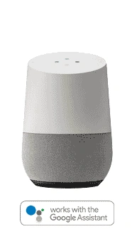Immax Neo Google Assistant