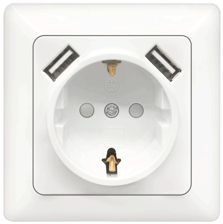 Aigostar - Domáca zásuvka SCHUKO 250V + 2x USB, biela, s rámikom