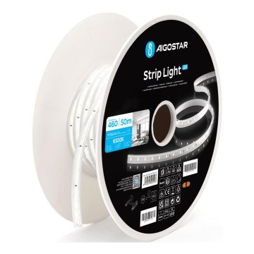 Aigostar - LED Pás LED/250W/230V 50m 6500K IP65