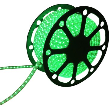 Aigostar - LED Pásik 50m LED/300W/230V IP65 zelená