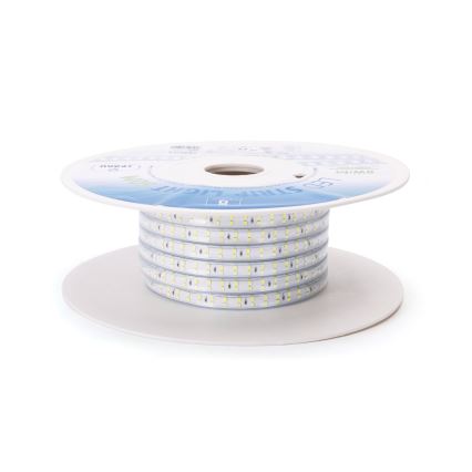 Aigostar - LED Pásik LED/400W/230V 50m 6500K IP65