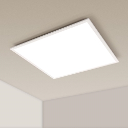 Aigostar - LED Podhľadový panel LED/50W/230V 4000K 60x60 cm