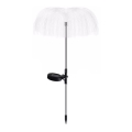 Aigostar - LED Solárna dekoračná lampa LED/0,03W/1,2V 70cm 300 mAh 6500K IP44