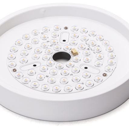 Aigostar - LED Stmievateľný stropný ventilátor LED/24W/230V 2700-6500K pr. 165 cm + diaľkové ovládanie biela