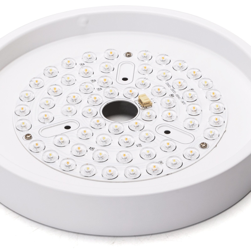 Aigostar - LED Stmievateľný stropný ventilátor LED/24W/230V 2700-6500K pr. 165 cm + diaľkové ovládanie biela