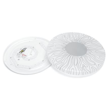 Aigostar - LED Stropné svietidlo LED/20W/230V 6500K pr. 33cm