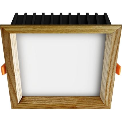 APLED - LED Podhľadové svietidlo SQUARE WOODLINE LED/12W/230V 3000K 17x17 cm jaseň masív