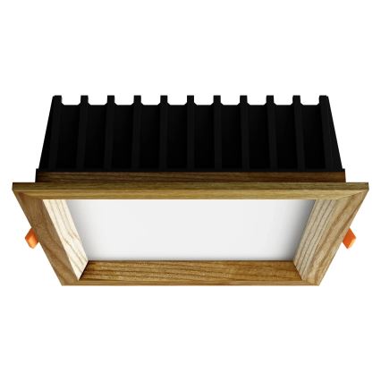 APLED - LED Podhľadové svietidlo SQUARE WOODLINE LED/12W/230V 3000K 17x17 cm jaseň masív