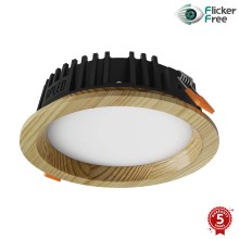 APLED - LED Podhľadové svietidlo RONDO WOODLINE LED/6W/230V 3000K pr. 15 cm borovica masív