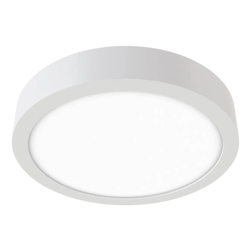 APLED - LED Stropné svietidlo RONDO LED/8W/230V pr. 9,8 cm biela
