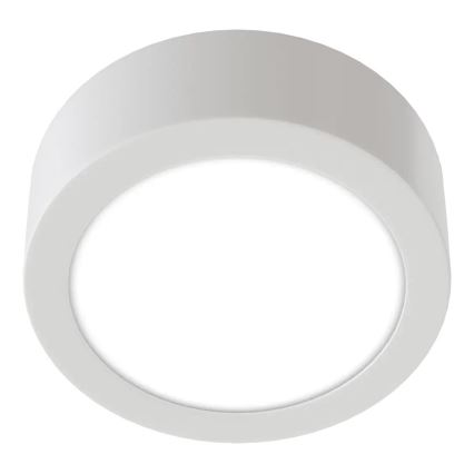 APLED - LED Stropné svietidlo RONDO LED/8W/230V pr. 9,8 cm biela