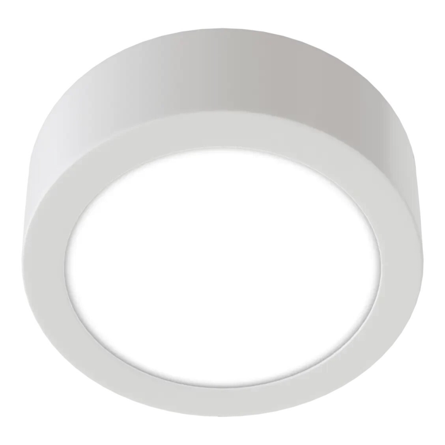APLED - LED Stropné svietidlo RONDO LED/8W/230V pr. 9,8 cm biela
