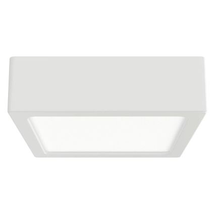 APLED - LED Stropné svietidlo SQUARE LED/8W/230V 9x9 cm biela