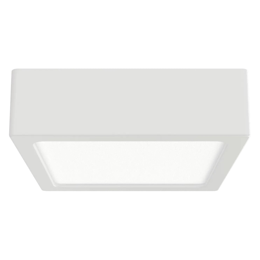 APLED - LED Stropné svietidlo SQUARE LED/8W/230V 9x9 cm biela