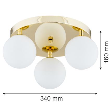 Argon 1413 - Kúpeľňové stropné svietidlo FLAVIO 3xE14/7W/230V IP44