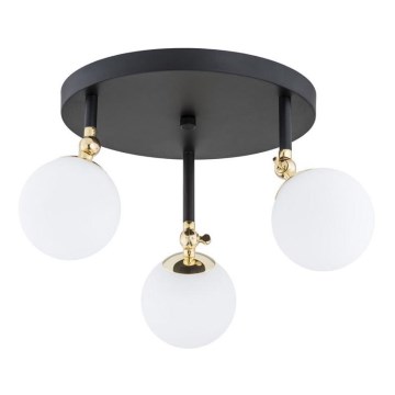 Argon 1436 - Kúpeľňové prisadené svietidlo LATINA 3xE14/40W/230V IP44