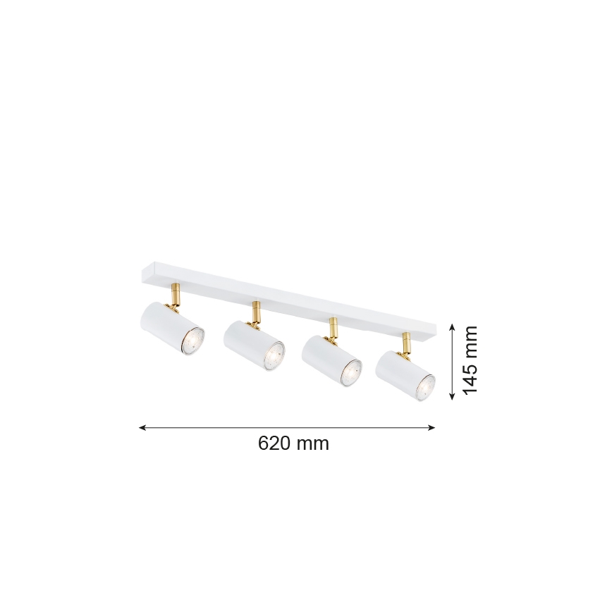 Argon 1689 - Bodové svietidlo LAGOS 4xGU10/5W/230V biela/zlatá