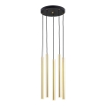 Argon 2109 - LED Luster na lanku SICILIA 5xLED/4,5W/230V