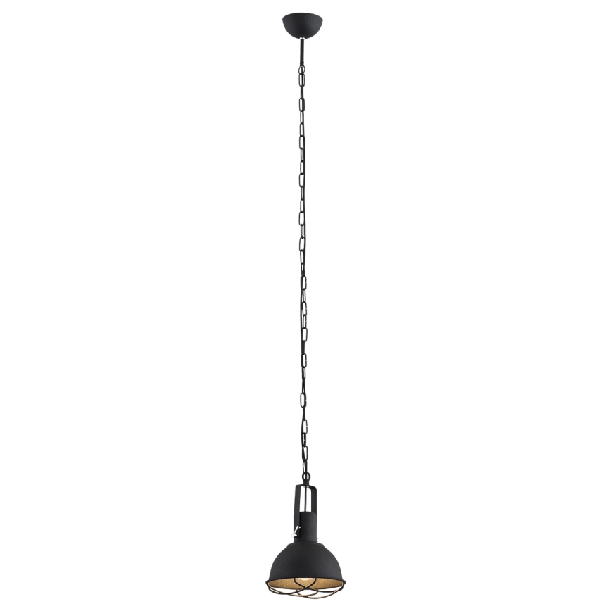 Argon 3188 - luster na reťazi CALVADOS 1xE27/60W/230V