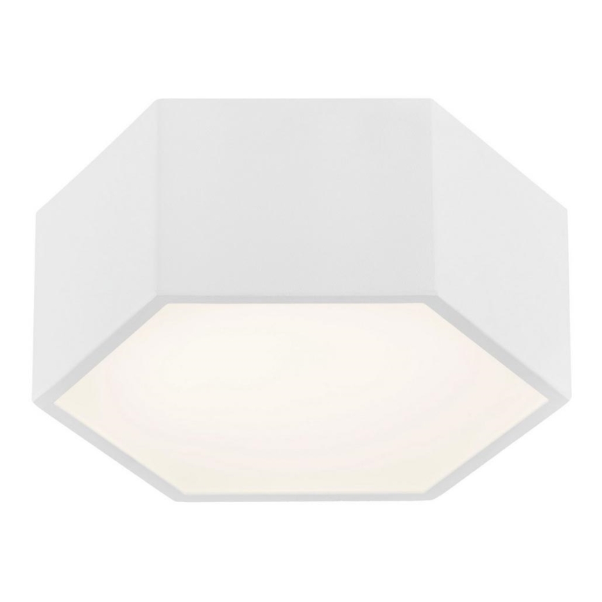 Argon 3828 - LED Stropné svietidlo ARIZONA LED/9W/230V biela