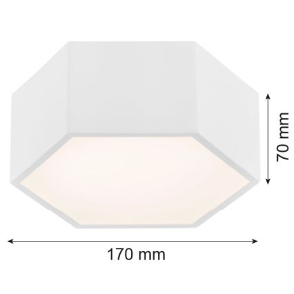 Argon 3828 - LED Stropné svietidlo ARIZONA LED/9W/230V biela