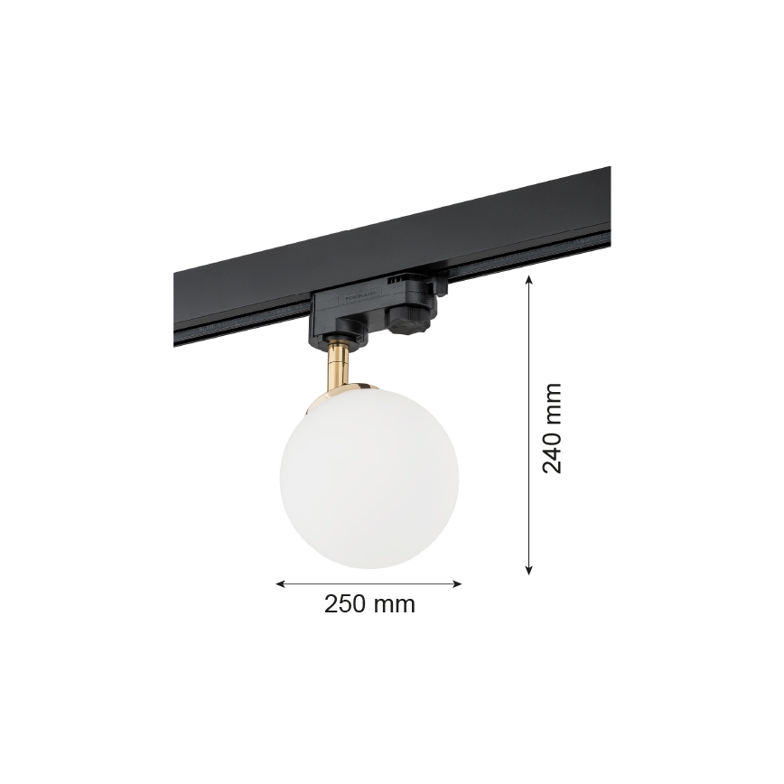 Argon 4307 - Bodové svietidlo do lištového systému BANG 1xG9/6W/230V mosadz