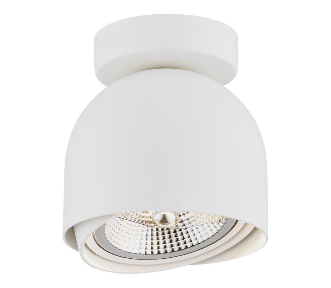 Argon Argon 4710 - Bodové svietidlo GARLAND 1xGU10-AR111/12W/230V biela