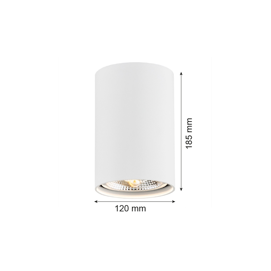 Argon 4910 - Bodové svietidlo TUBO AR111 1xGU10/15W/230V biela