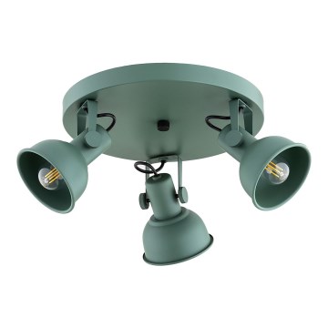 Argon 6265 - Bodové svietidlo LENORA 3xE14/7W/230V zelená