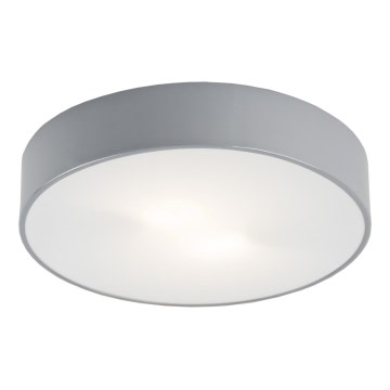 Argon 659 - Stropné svietidlo DARLING 2xE27/60W/230V Argon 659 - Stropné svietidlo DARLING 2xE27/60W/230V