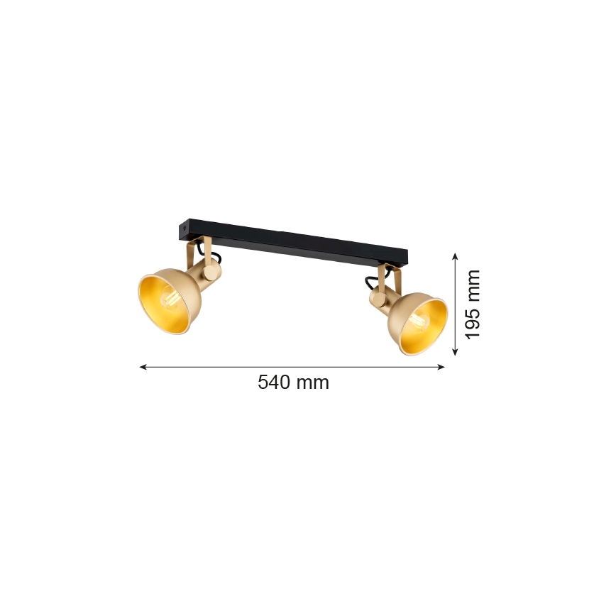 Argon 7144 - Bodové svietidlo LENORA 2xE14/7W/230V zlatá/čierna