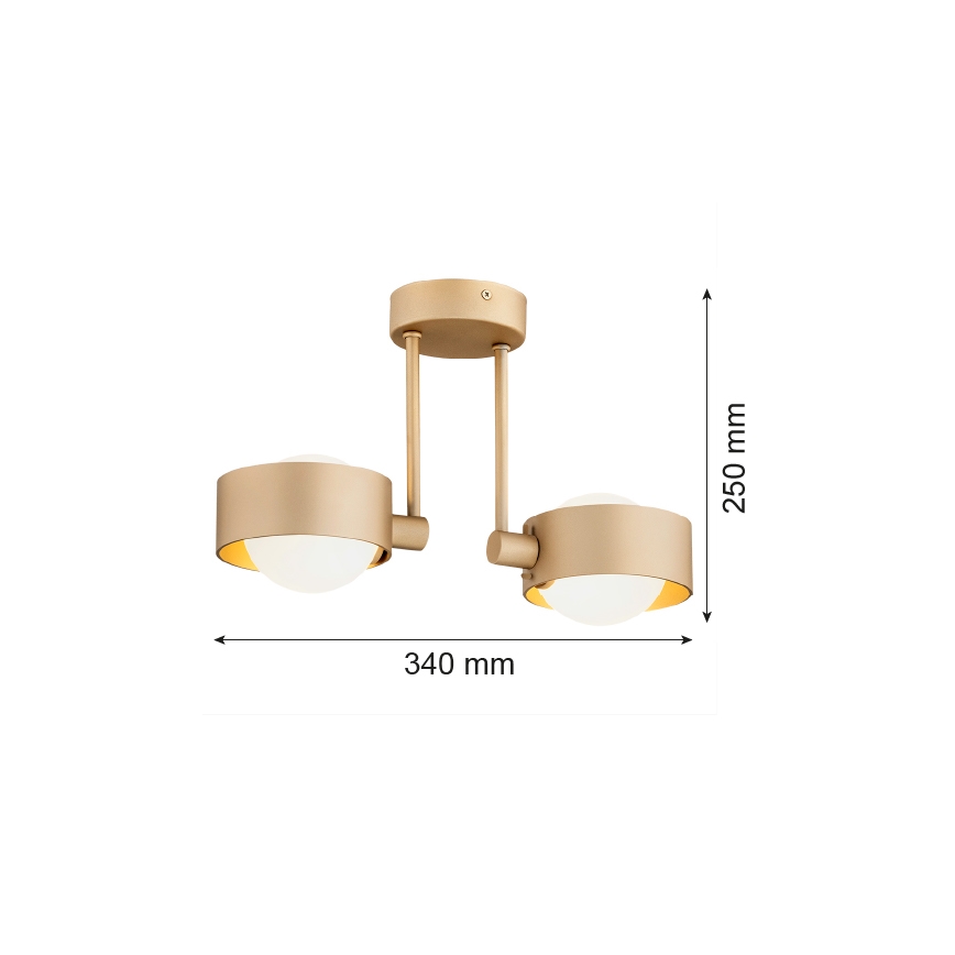 Argon 7215 - Kúpeľňový luster na tyči MASSIMO PLUS 2xG9/6W/230V IP44 zlatá