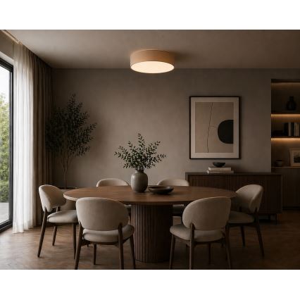Argon 7296 - Stropné svietidlo DARLINGOS 2xE27/15W/230V priemer 25 cm béžové