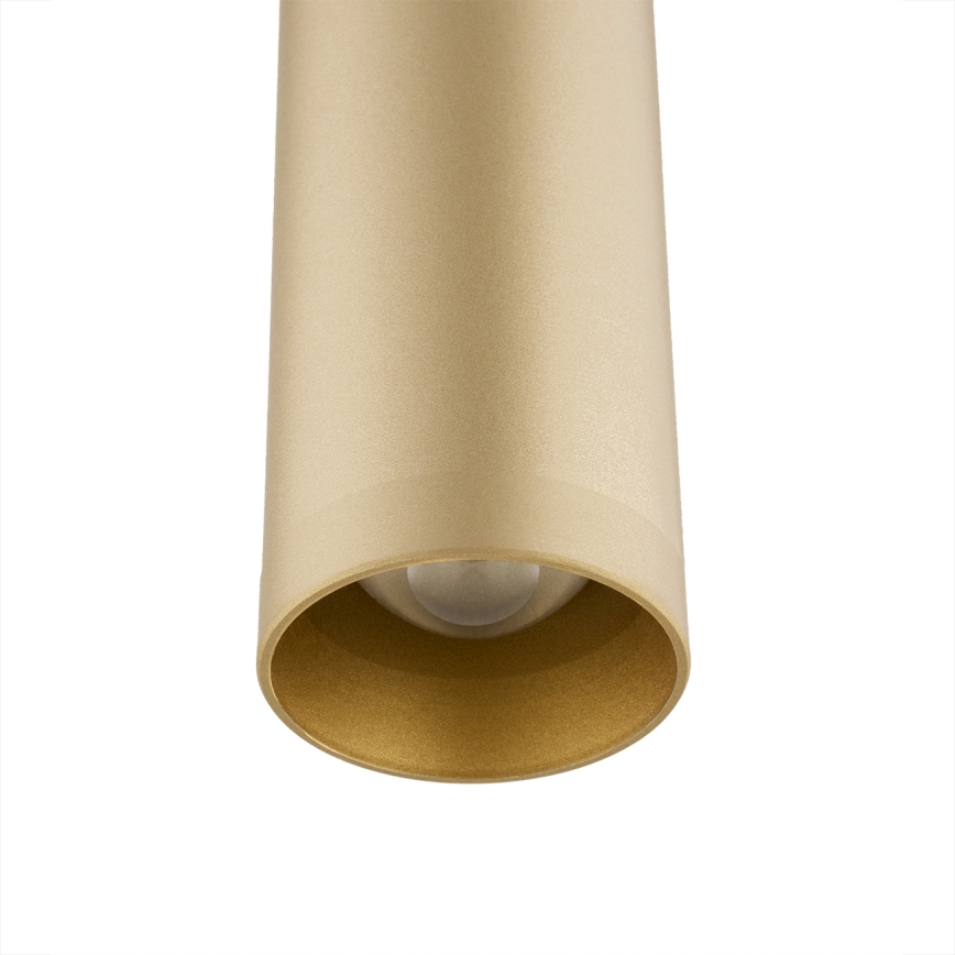 Argon 8327 - LED Luster na lanku RIO LED/4,2W/230V 3000K zlatá