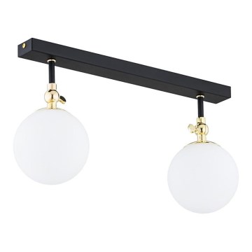 Argon 846 - Kúpeľňové prisadené svietidlo LATINA 2xE14/40W/230V IP44