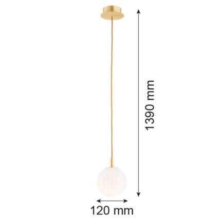 Argon 8506 - Luster na lanku PALOMA 1xE14/7W/230V pr. 12 cm zlatá/biela