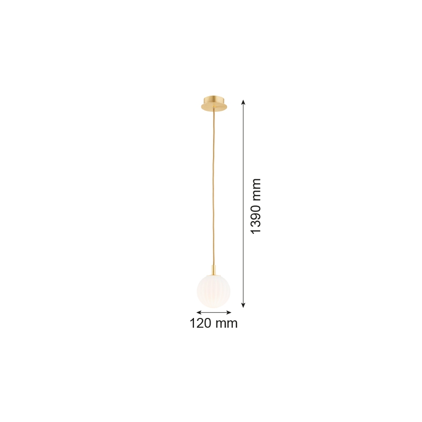 Argon 8506 - Luster na lanku PALOMA 1xE14/7W/230V pr. 12 cm zlatá/biela
