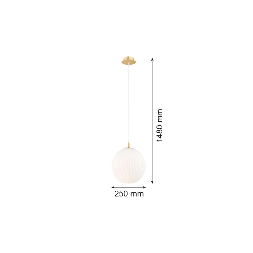 Argon 8507 - Luster na lanku PALOMA 1xE27/15W/230V pr. 25 cm zlatá/biela