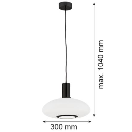 Argon 8565 - Luster na lanku SAGUNTO PLUS 1xE27/15W/230V pr. 30 cm čierna