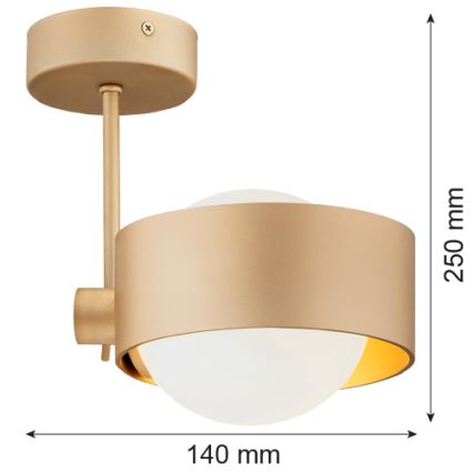 Argon 8568 - Kúpeľňový luster na tyči MASSIMO PLUS 1xG9/6W/230V IP44 zlatá